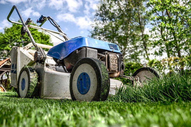 Van zaaien tot oogsten: alles over ecologisch moestuinieren en het bestrijden van plagen en ziektes