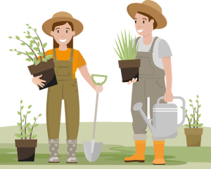 Van zaadje tot landschap: een diepgaande verkenning van plantensoorten, tuingereedschap, tuinontwerp en biologisch tuinieren